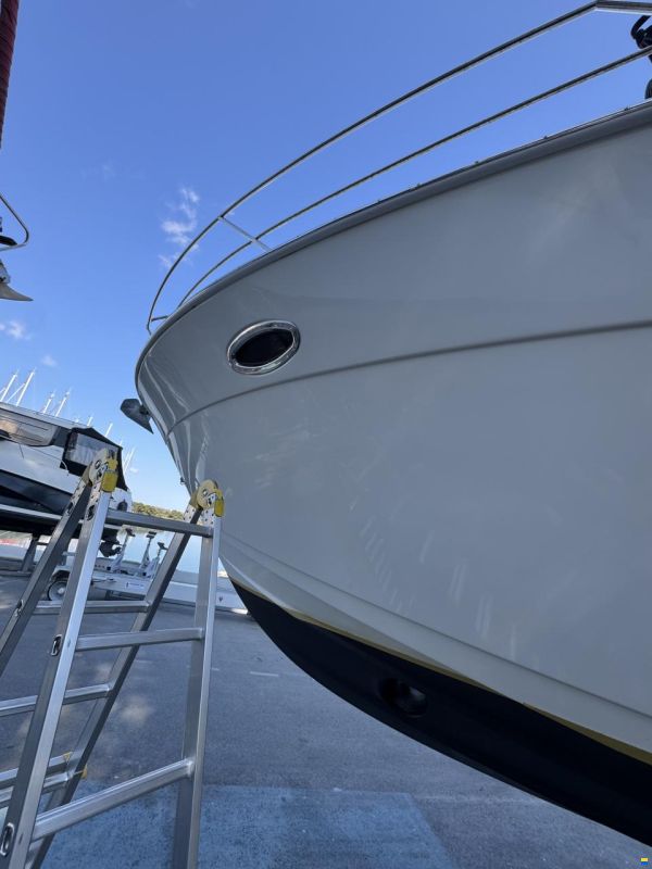 Bavaria Sport 33