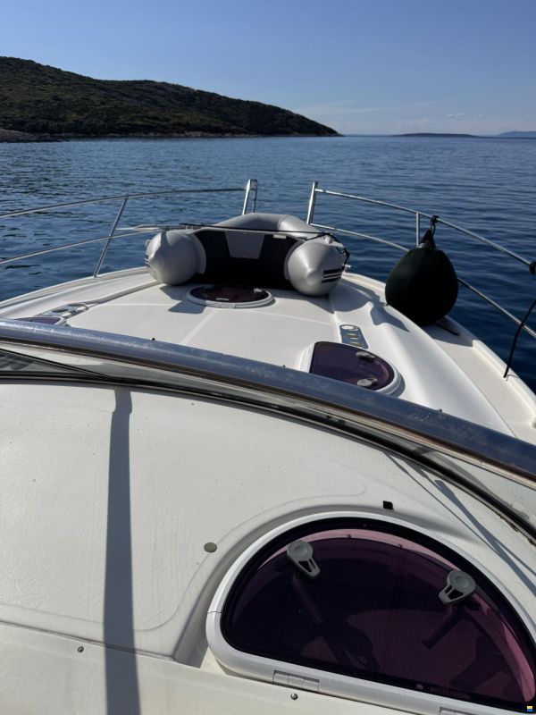 Bavaria Sport 33