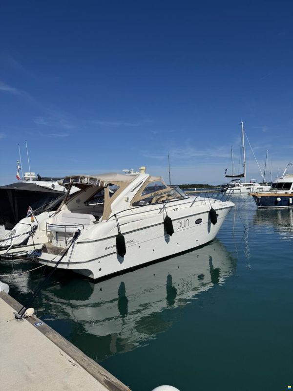Bavaria Sport 33