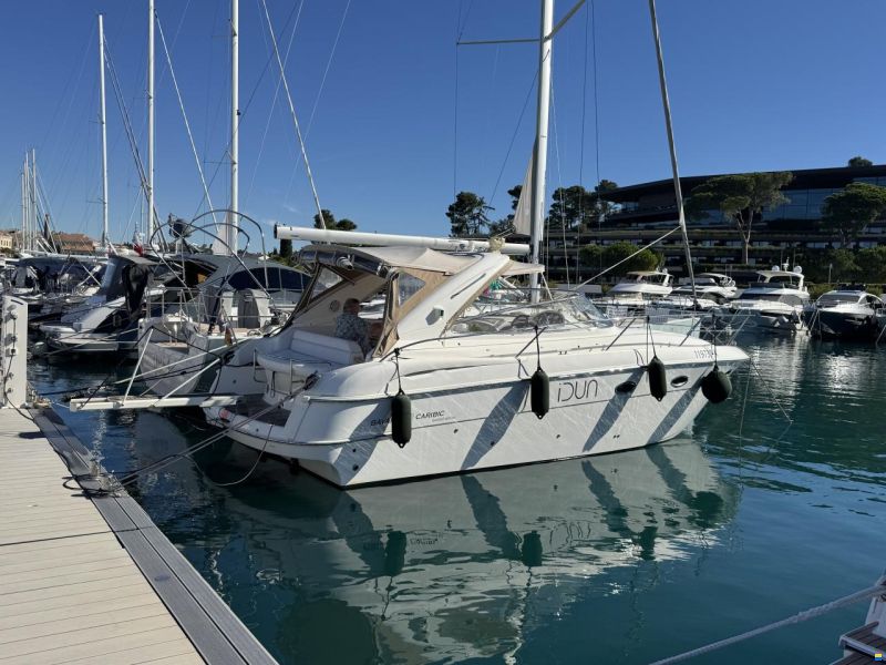 Bavaria Sport 33