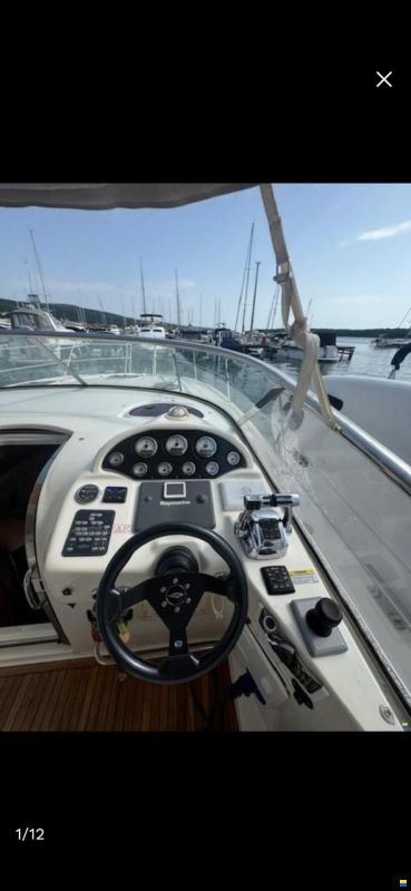 Bavaria Sport 33