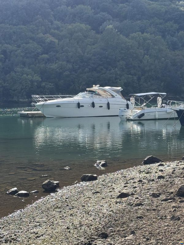 Bavaria Sport 33