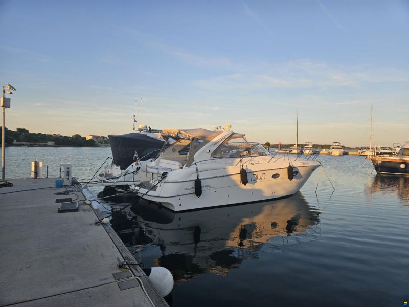 Bavaria Sport 33
