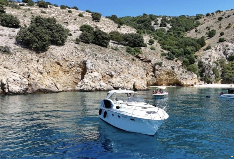 Bavaria Sport 33