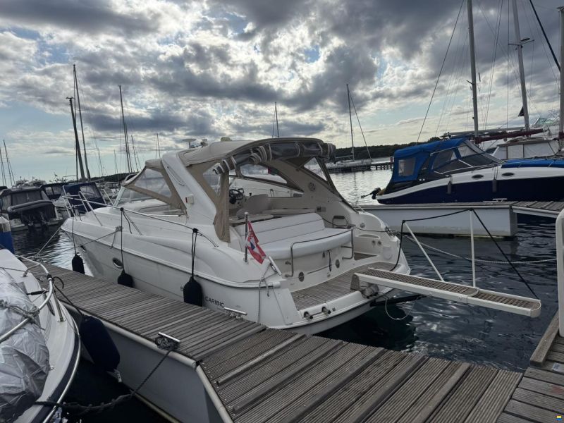 Bavaria Sport 33