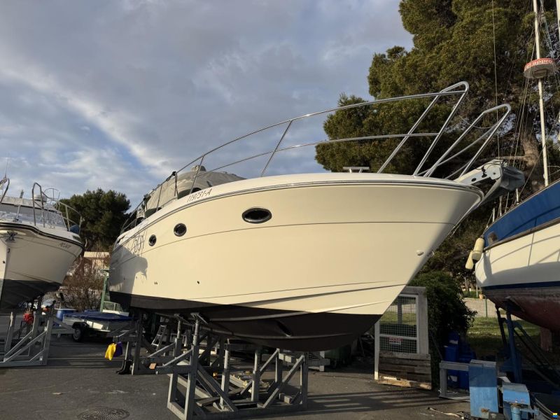 Bavaria Sport 33