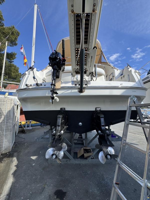 Bavaria Sport 33