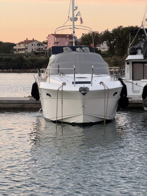 Bavaria Sport 33