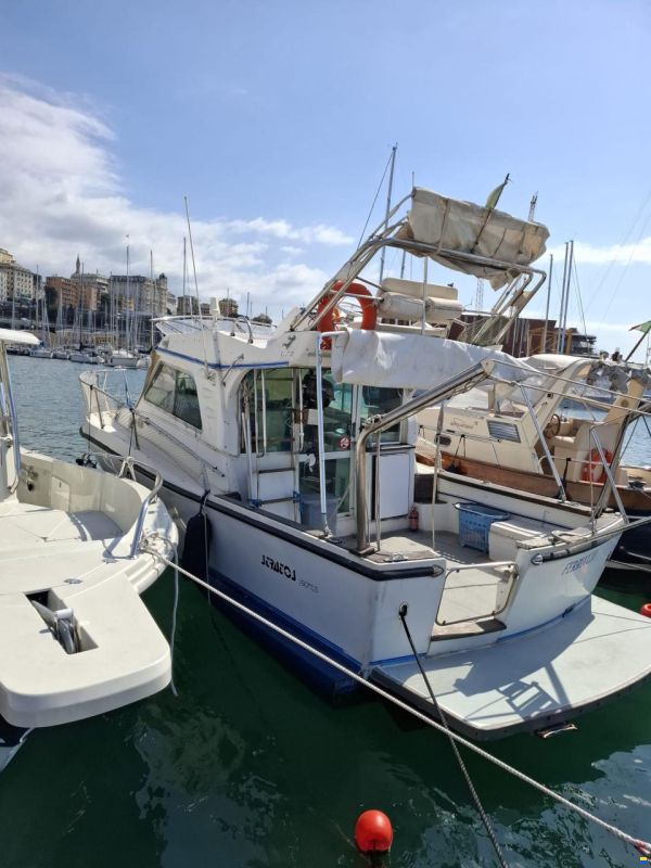 Cantiere del Serchio Stratos Big Tuna 31 Fly