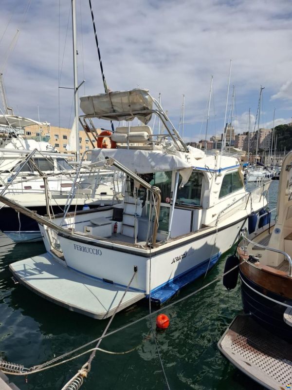 Cantiere del Serchio Stratos Big Tuna 31 Fly