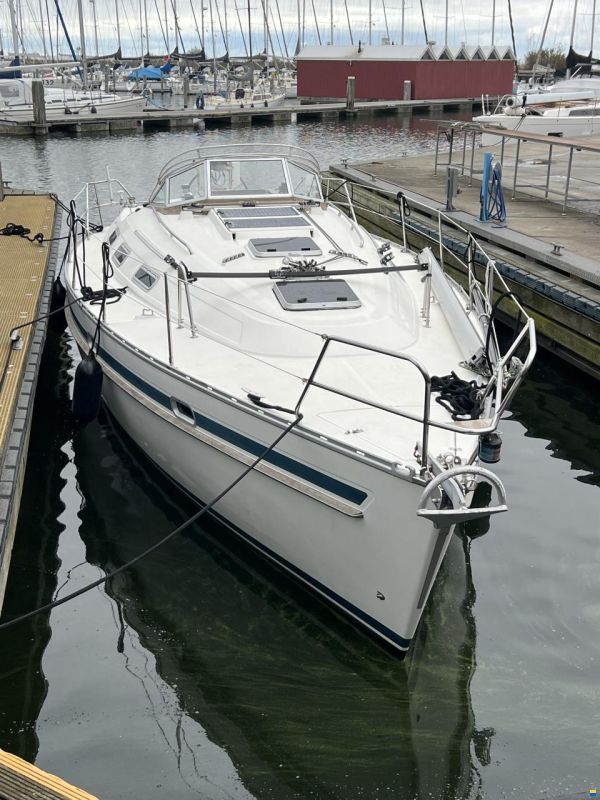 Bavaria 35 Holiday