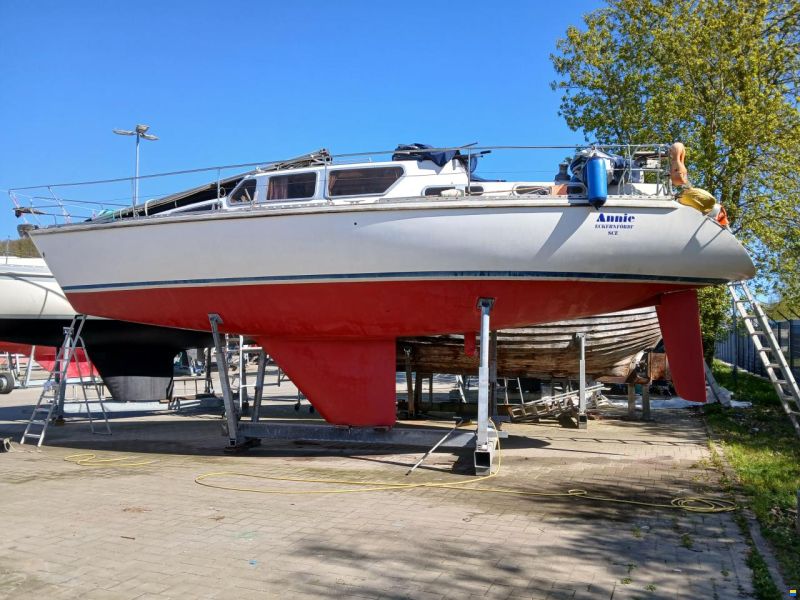 Conrad 40 DS