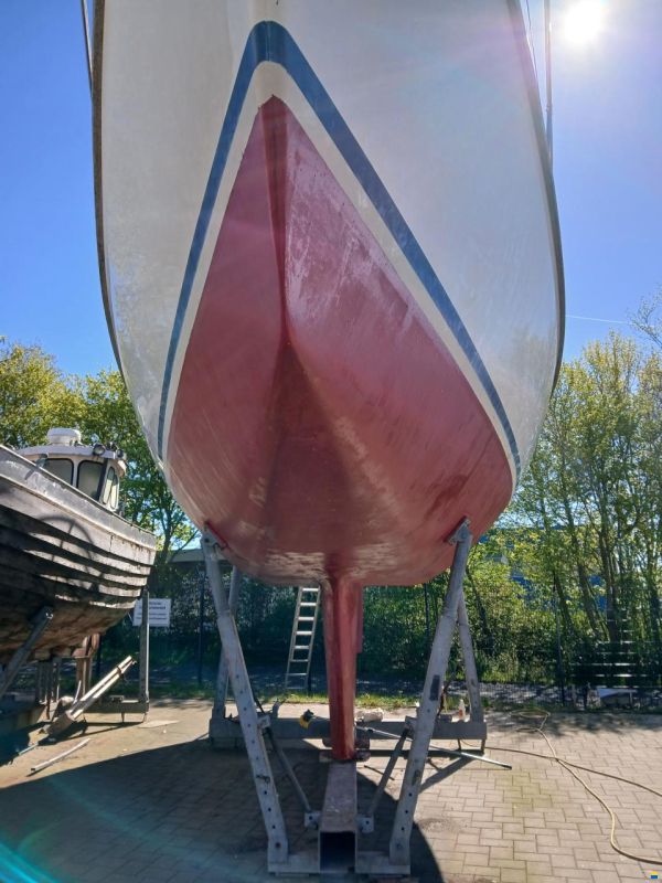 Conrad 40 DS
