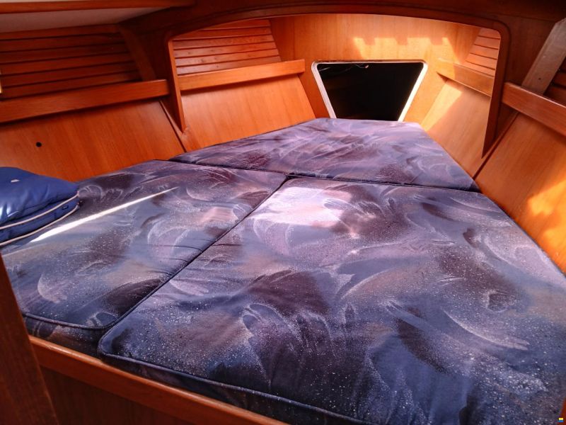 Conrad 40 DS