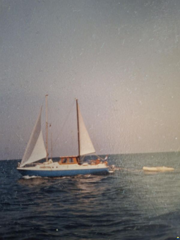 Dehler Delanta