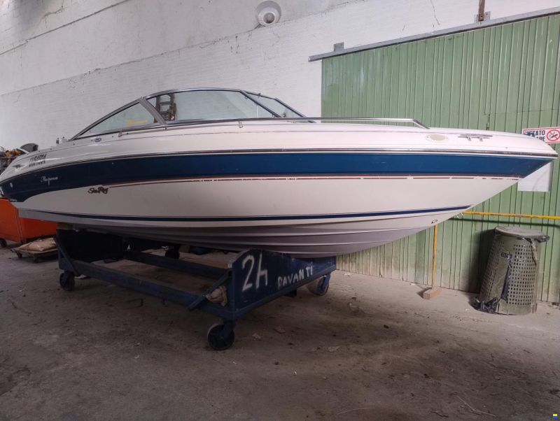 Sea Ray 190 Signature