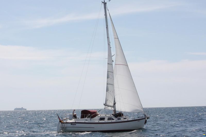 de Kloet Midget 31