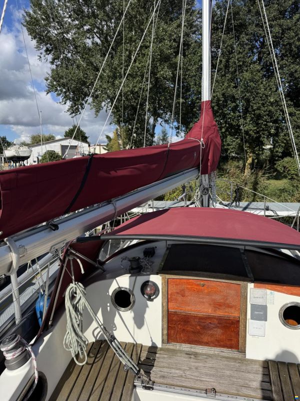 de Kloet Midget 31