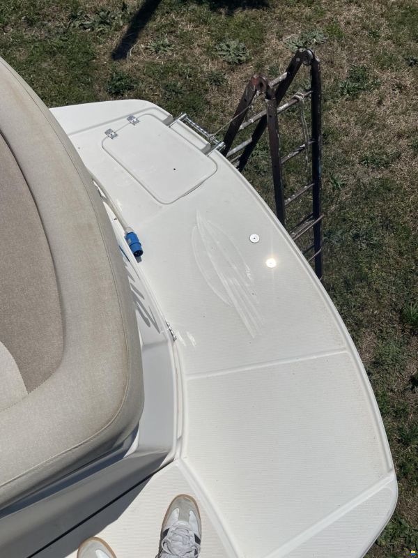 Chaparral Signature 250