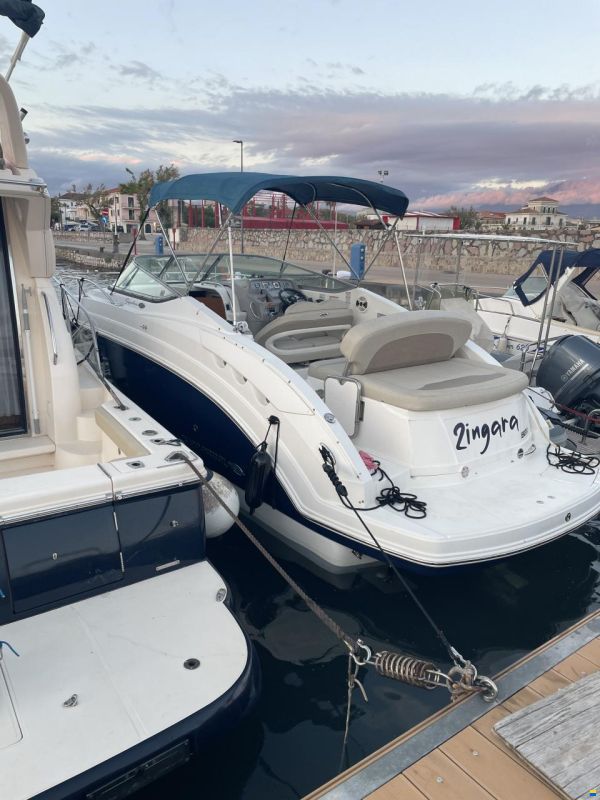 Chaparral Signature 250