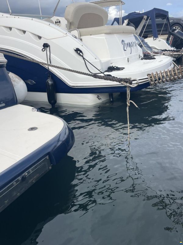 Chaparral Signature 250