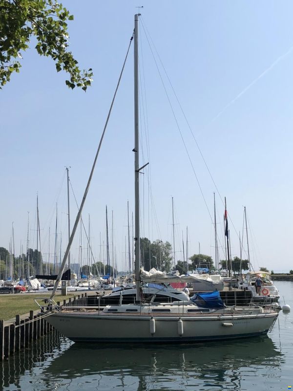 MARIEHOLM FORTISSIMO 33