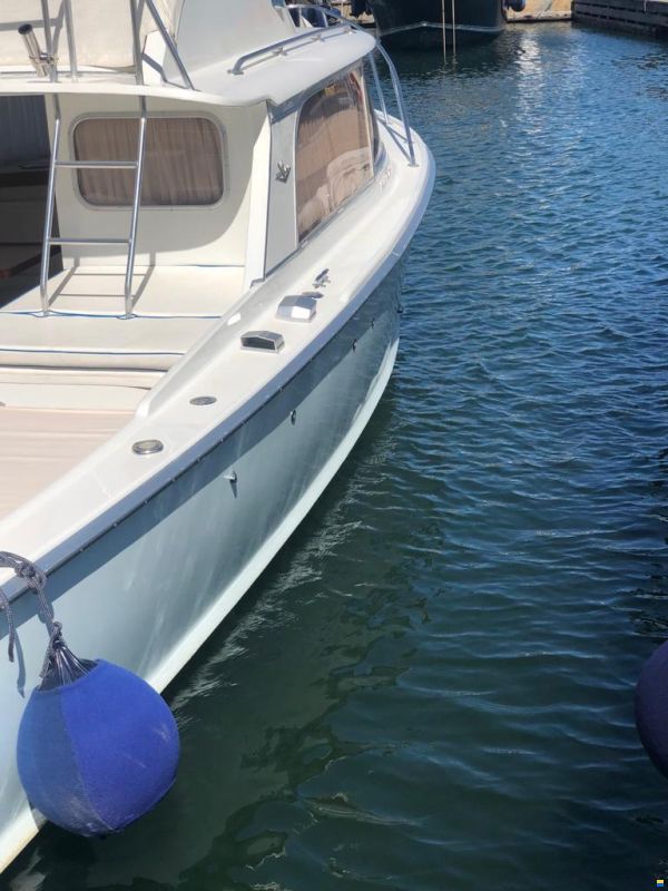 Bertram 31 SPECIAL EDITION