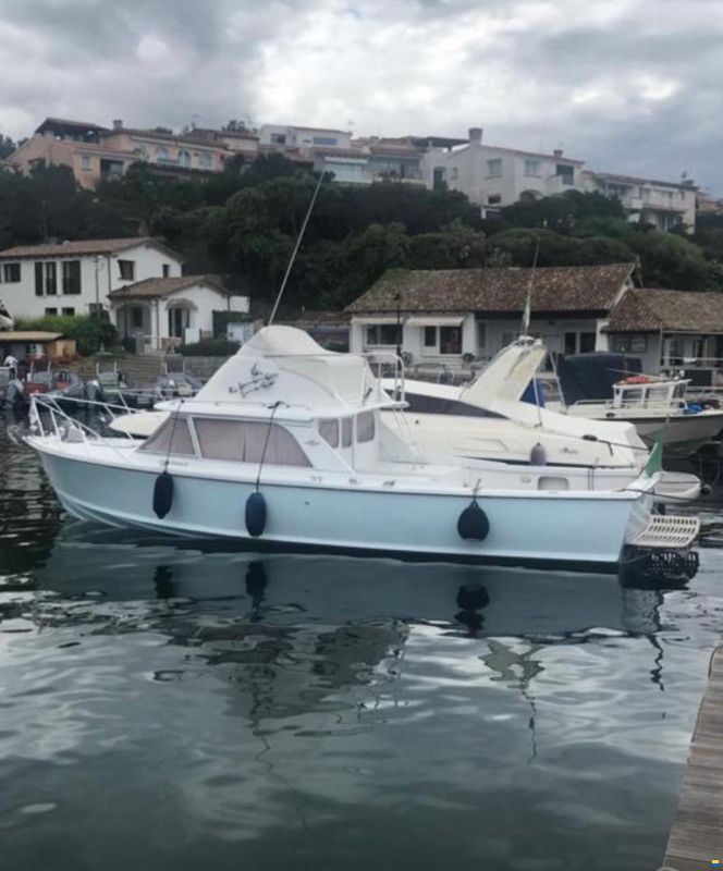 Bertram 31 SPECIAL EDITION