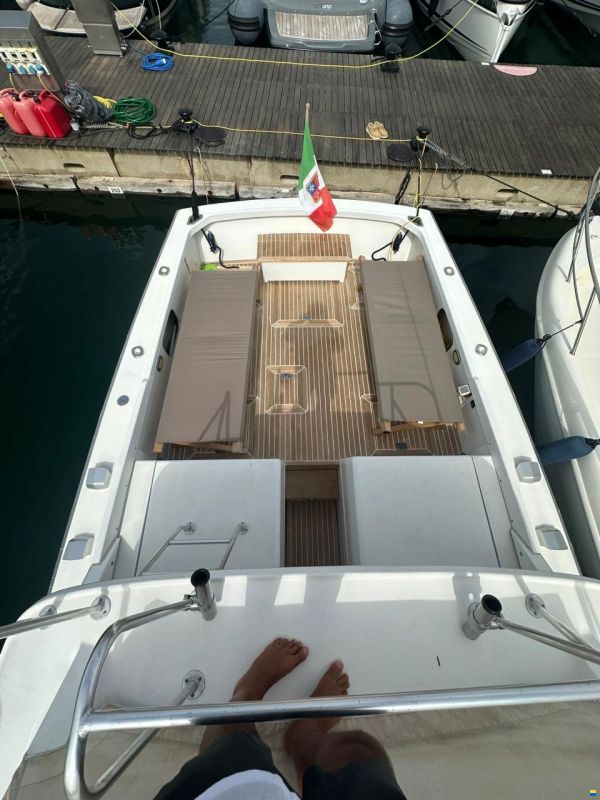 Bertram 31 SPECIAL EDITION
