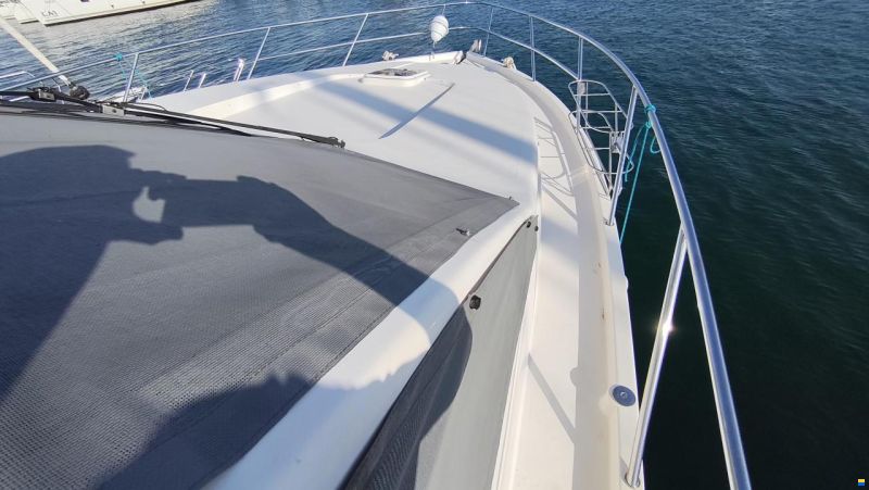 Majesty 56