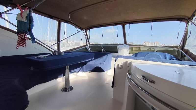 Majesty 56