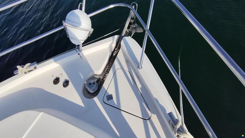Majesty 56