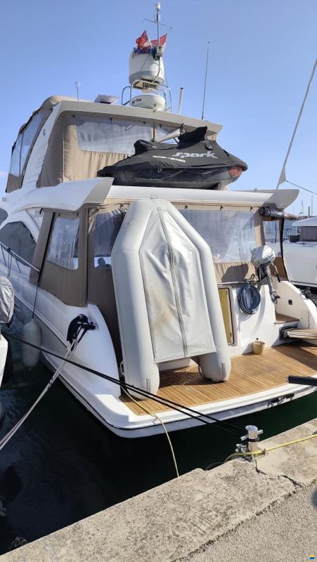 Majesty 56