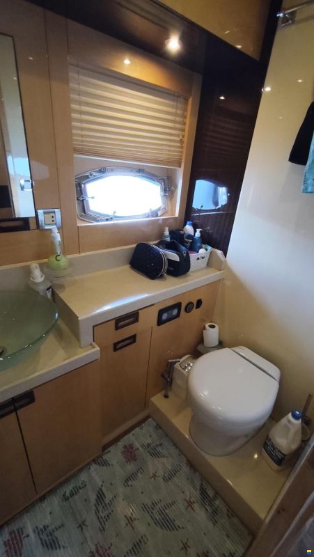 Majesty 56