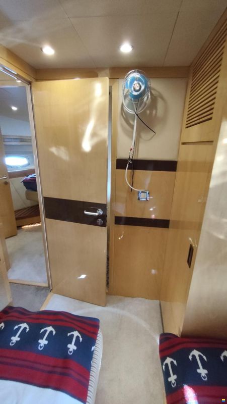 Majesty 56