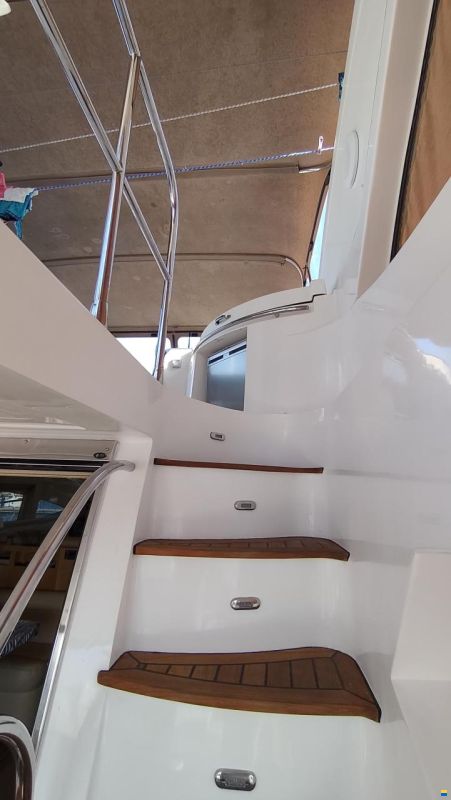 Majesty 56