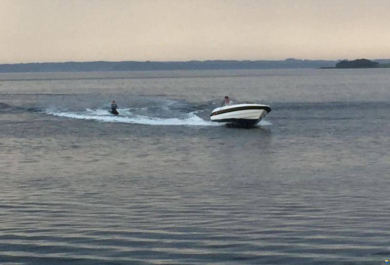 Viper V630