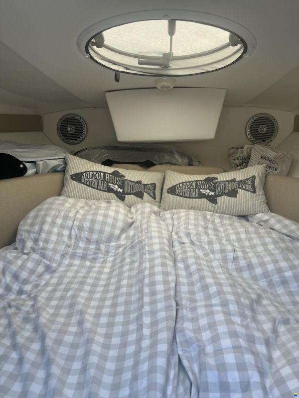 Bayliner 702 Cuddy