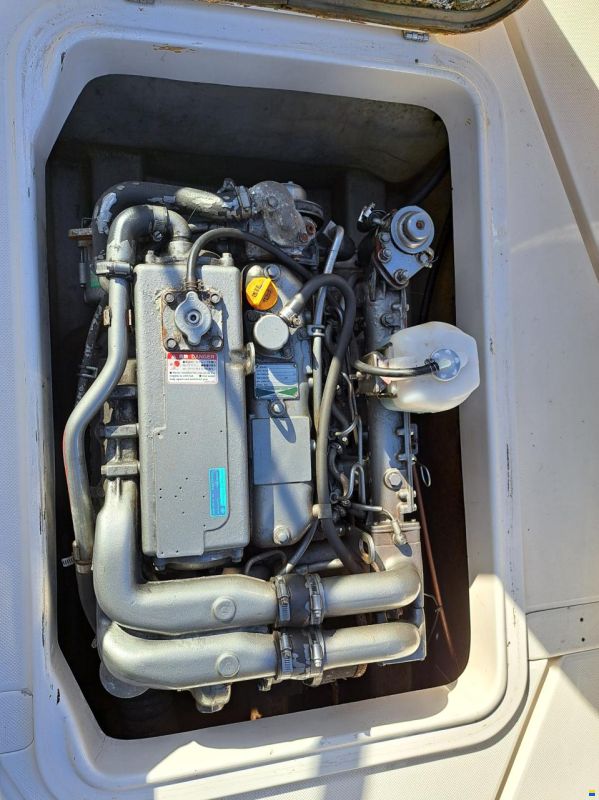 Marex 21 Duckie