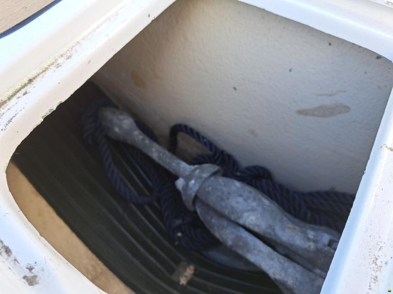 Marex 21 Duckie