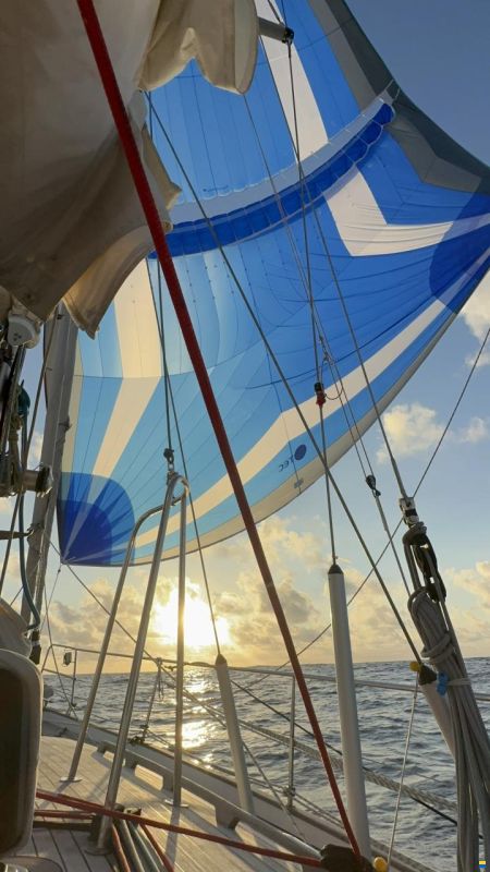 Hallberg-Rassy 43
