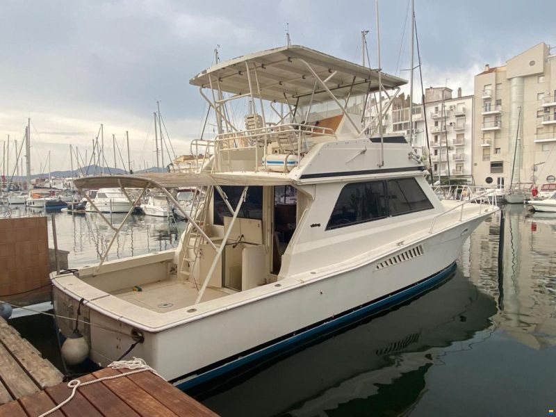 Viking 50