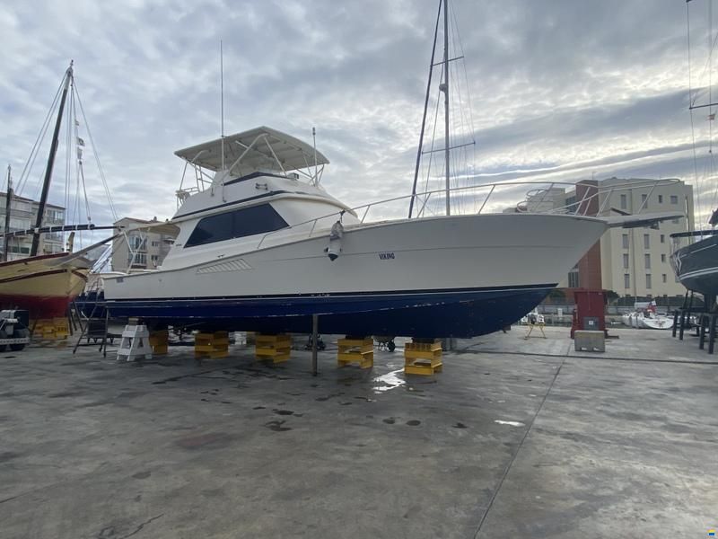 Viking 50