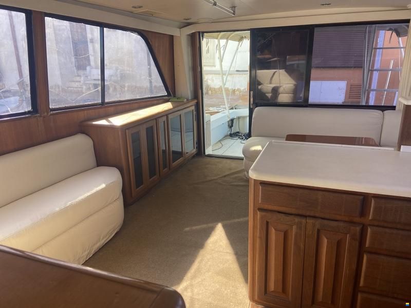 Viking 50