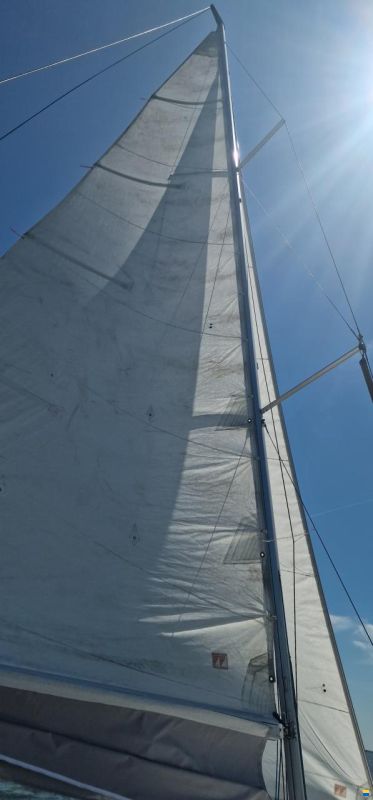 Viko S30 Cruiser
