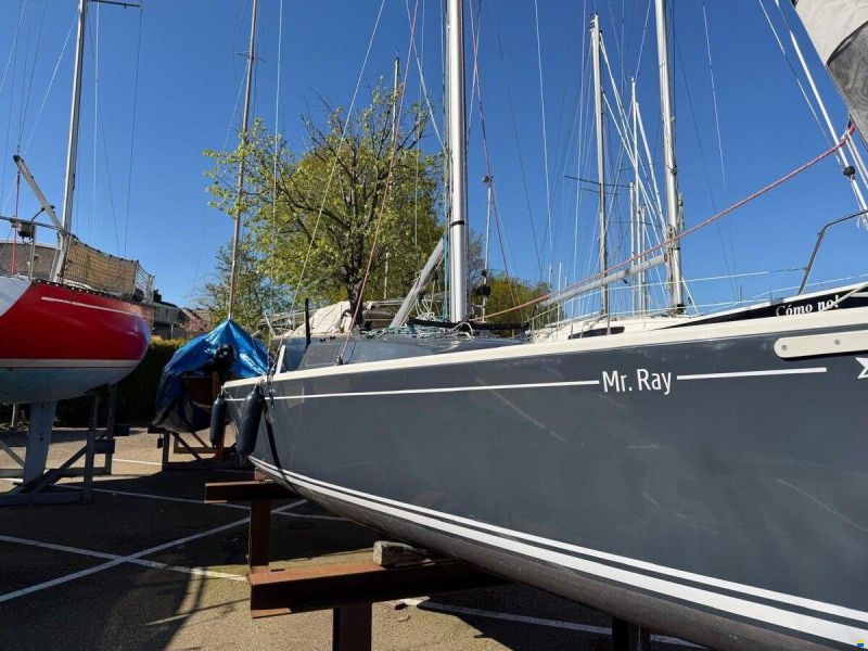 Pointer 22