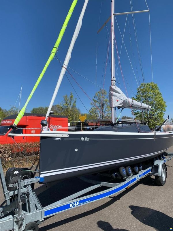 Pointer 22