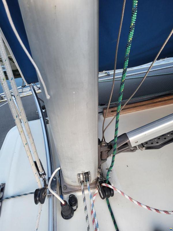 Moser M2