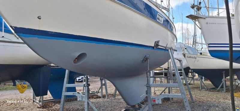 Hallberg-Rassy 312 MK1