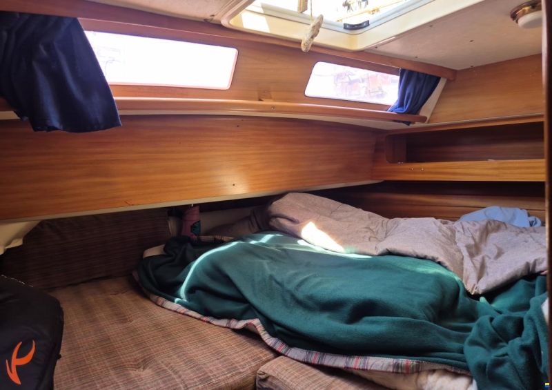 Schöchl Sunbeam 36 CC
